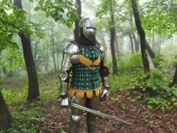 Forest knight